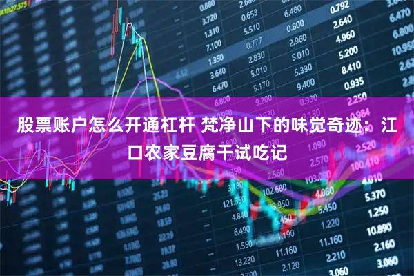 股票账户怎么开通杠杆 梵净山下的味觉奇迹：江口农家豆腐干试吃记