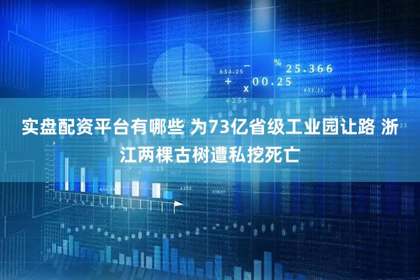 实盘配资平台有哪些 为73亿省级工业园让路 浙江两棵古树遭私挖死亡